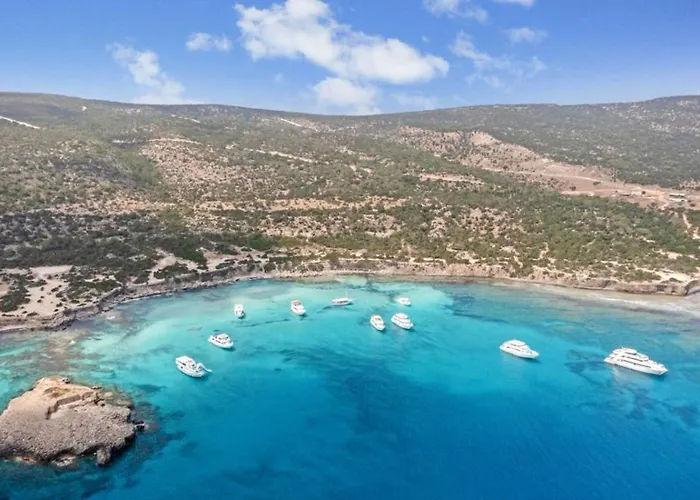 Olive Shared Pool Hotel de apartamente Paphos