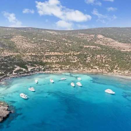Olive Shared Pool מלון דירות Paphos